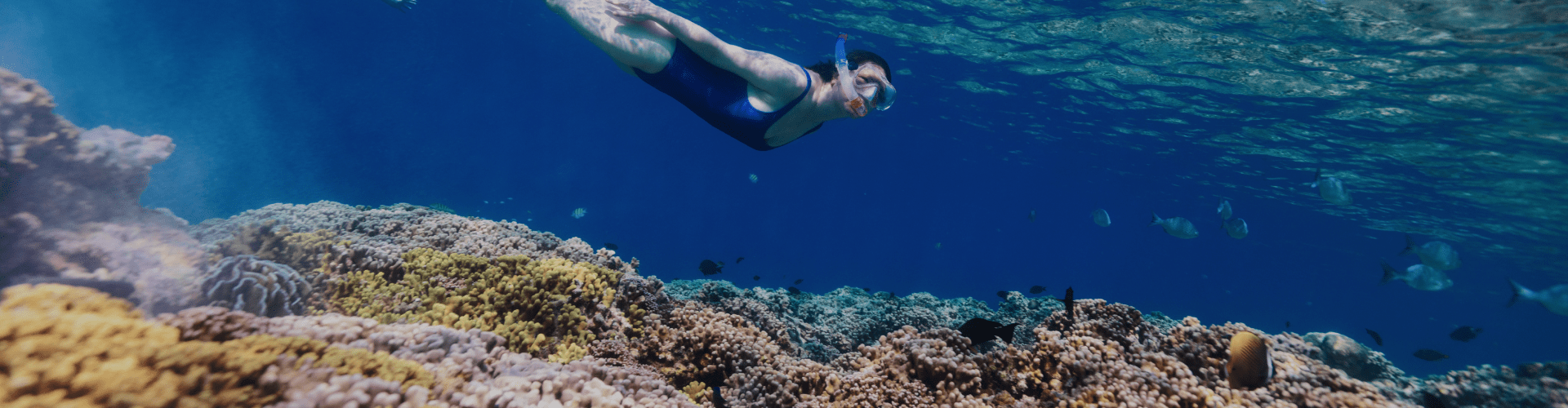 Hero de travel sharing